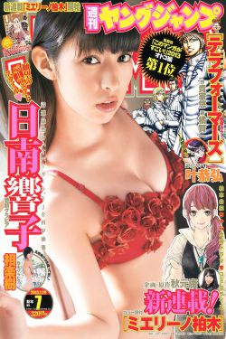 春日浓情电视剧免费观看完整